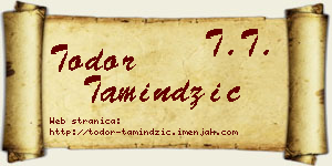 Todor Tamindžić vizit kartica